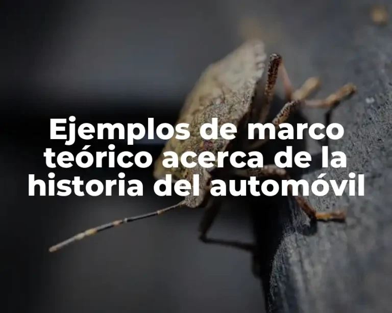 Ejemplos de marco teórico acerca de la historia del automóvil