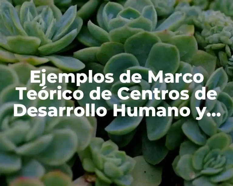 Ejemplos de Marco Teórico de Centros de Desarrollo Humano y Significado