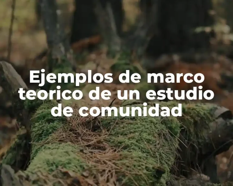 Ejemplos de marco teorico de un estudio de comunidad