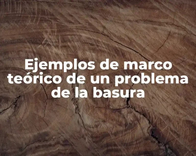 Ejemplos de marco teórico de un problema de la basura