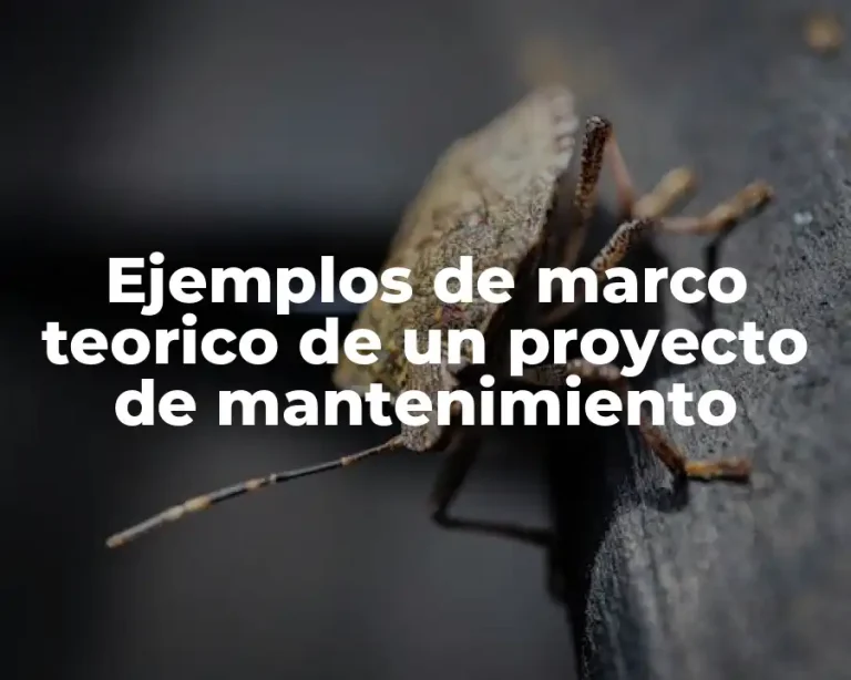 Ejemplos de marco teorico de un proyecto de mantenimiento