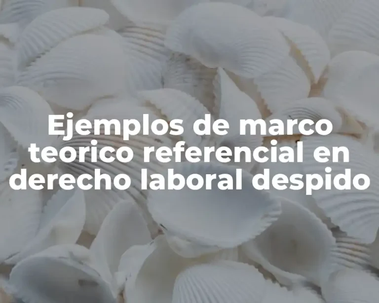 Ejemplos de marco teorico referencial en derecho laboral despido