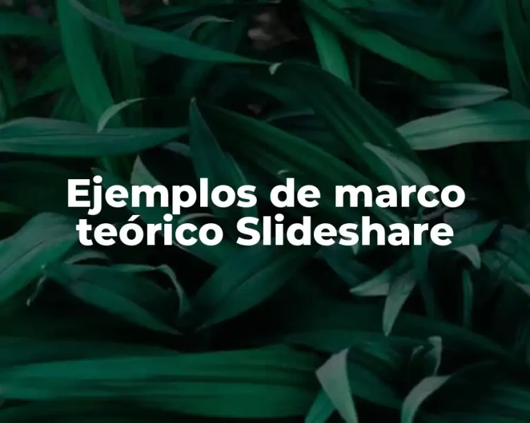 Ejemplos de marco teórico Slideshare