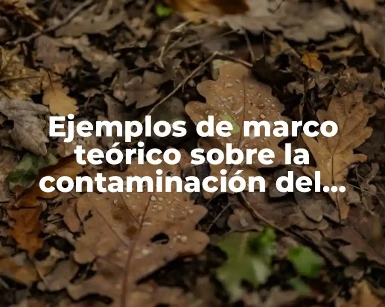 Ejemplos de marco teórico sobre la contaminación del suelo