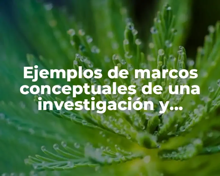 Ejemplos de marcos conceptuales de una investigación y Significado