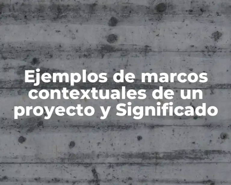 Ejemplos de marcos contextuales de un proyecto y Significado