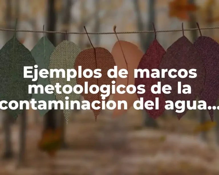 Ejemplos de marcos metoologicos de la contaminacion del agua y Significado