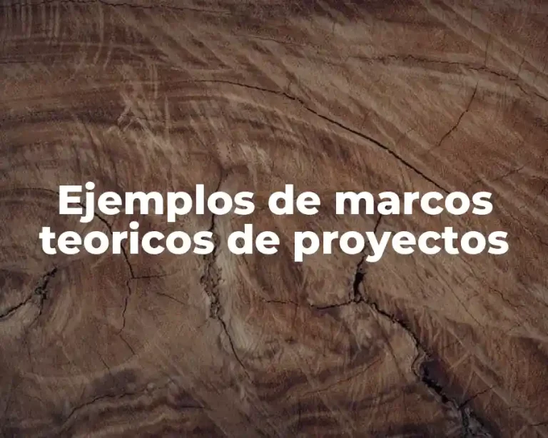 Ejemplos de marcos teoricos de proyectos
