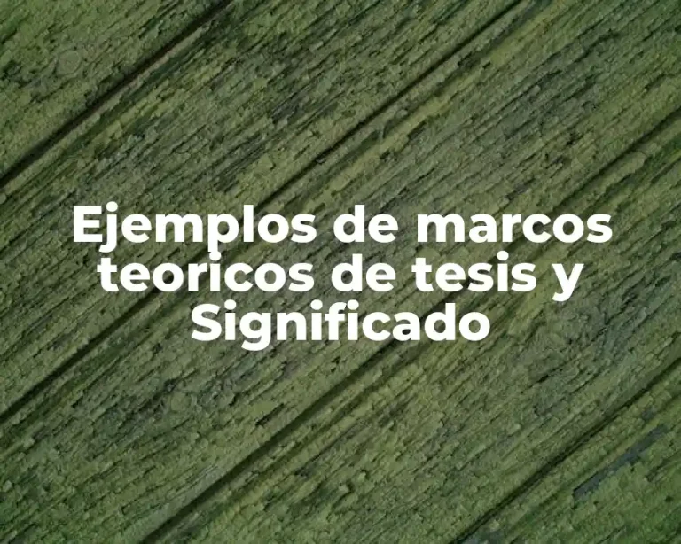 Ejemplos de marcos teoricos de tesis y Significado