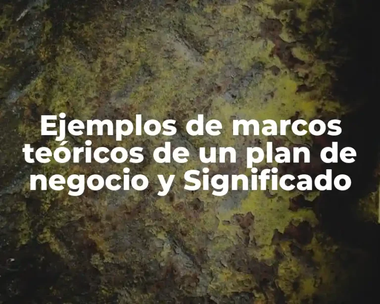 Ejemplos de marcos teóricos de un plan de negocio y Significado