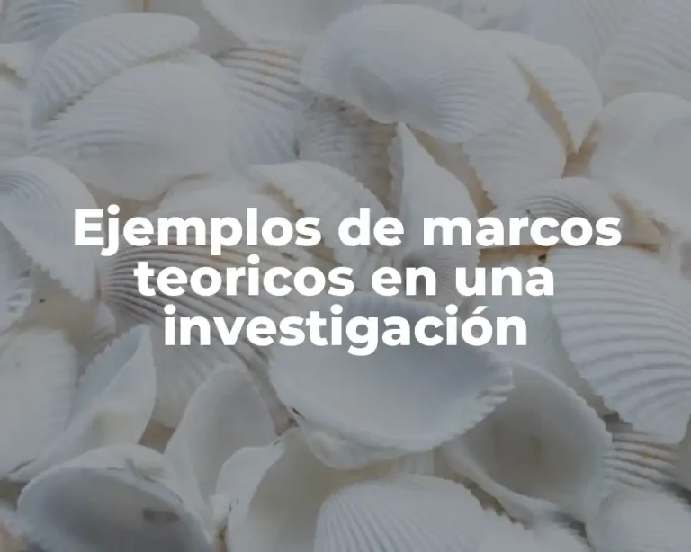 Ejemplos de marcos teoricos en una investigación