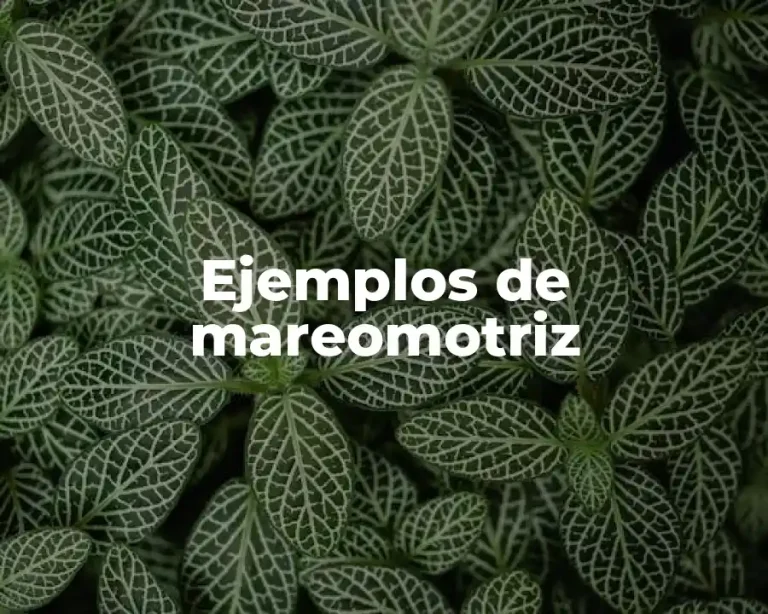 Ejemplos de mareomotriz