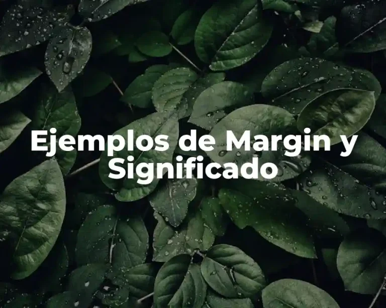Ejemplos de Margin y Significado