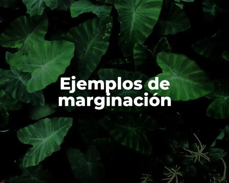 Ejemplos de marginación