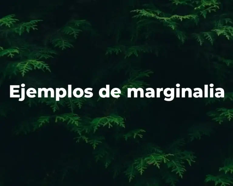 Ejemplos de marginalia