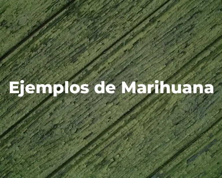 Ejemplos de Marihuana