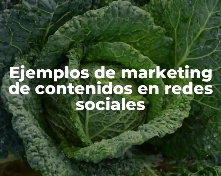 Ejemplos de marketing de contenidos en redes sociales