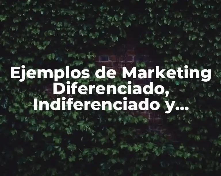 Ejemplos de Marketing Diferenciado, Indiferenciado y Concentrado