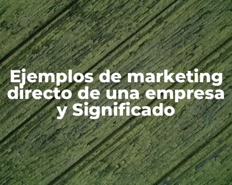 Ejemplos de marketing directo de una empresa y Significado