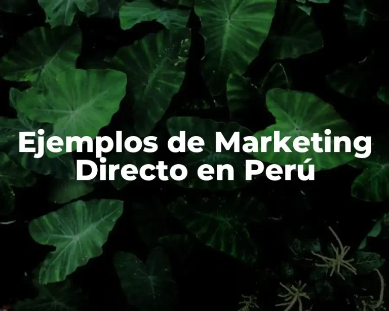 Ejemplos de Marketing Directo en Perú