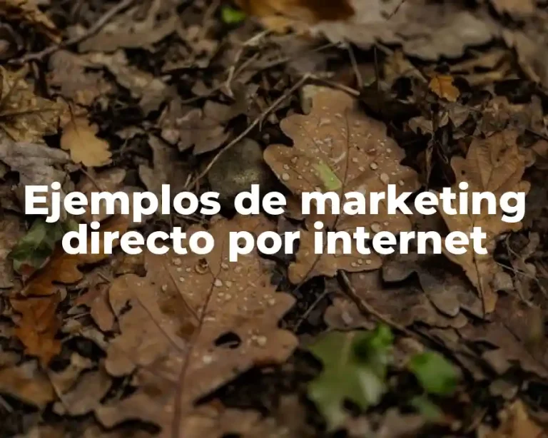 Ejemplos de marketing directo por internet
