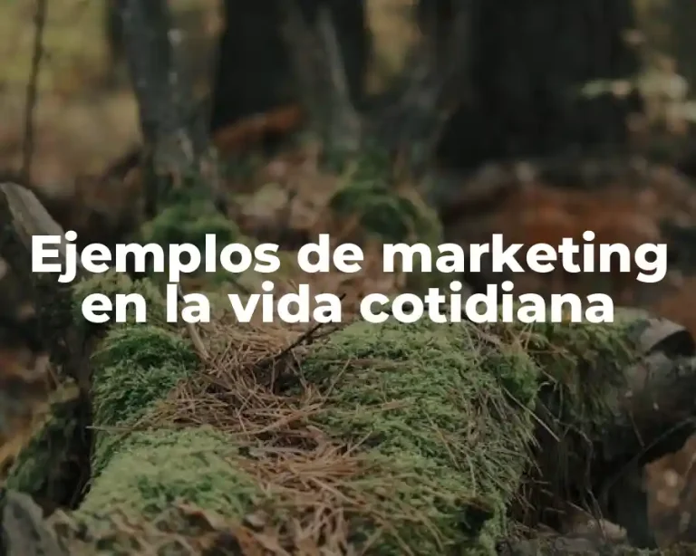 Ejemplos de marketing en la vida cotidiana