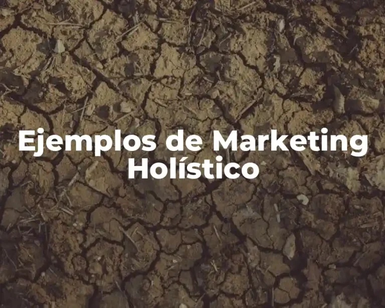 Ejemplos de Marketing Holístico