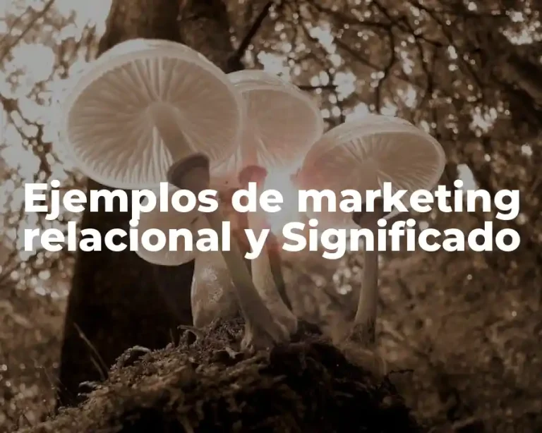 Ejemplos de marketing relacional y Significado