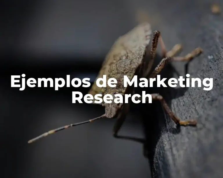 Ejemplos de Marketing Research