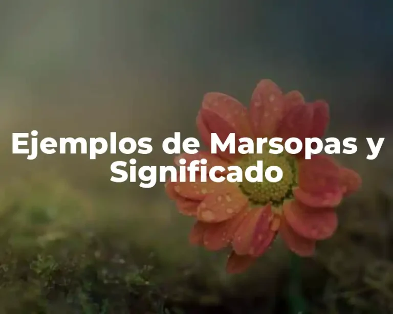 Ejemplos de Marsopas y Significado