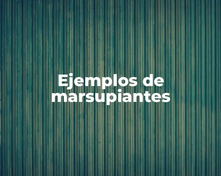 Ejemplos de marsupiantes