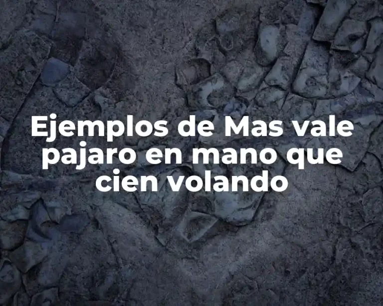 Ejemplos de Mas vale pajaro en mano que cien volando