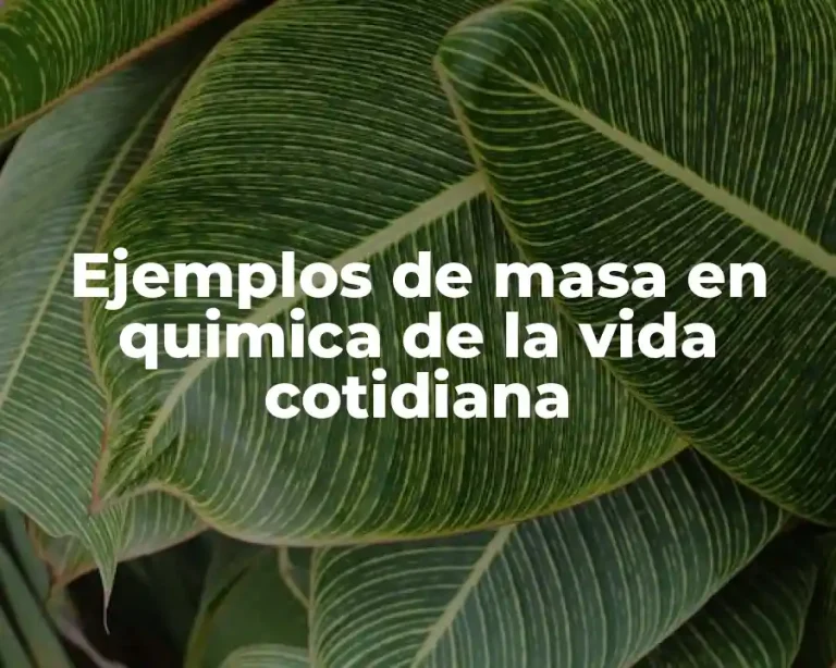 Ejemplos de masa en quimica de la vida cotidiana