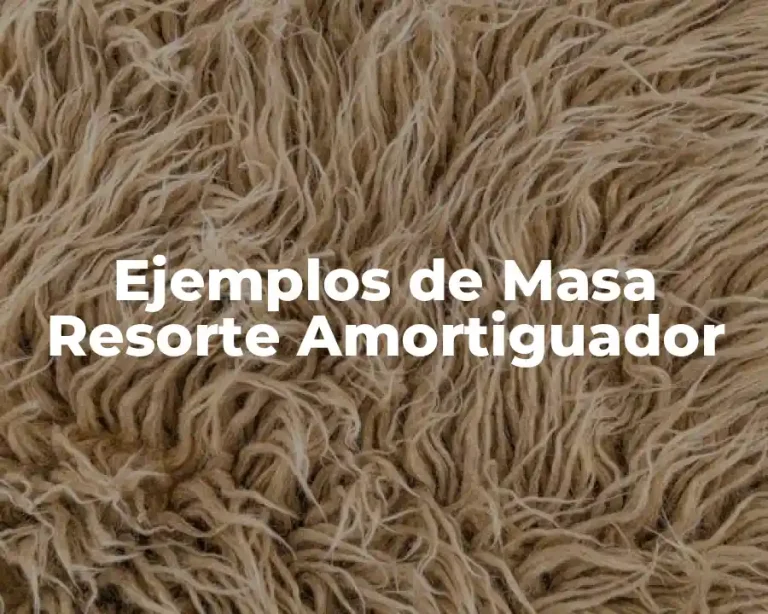 Ejemplos de Masa Resorte Amortiguador