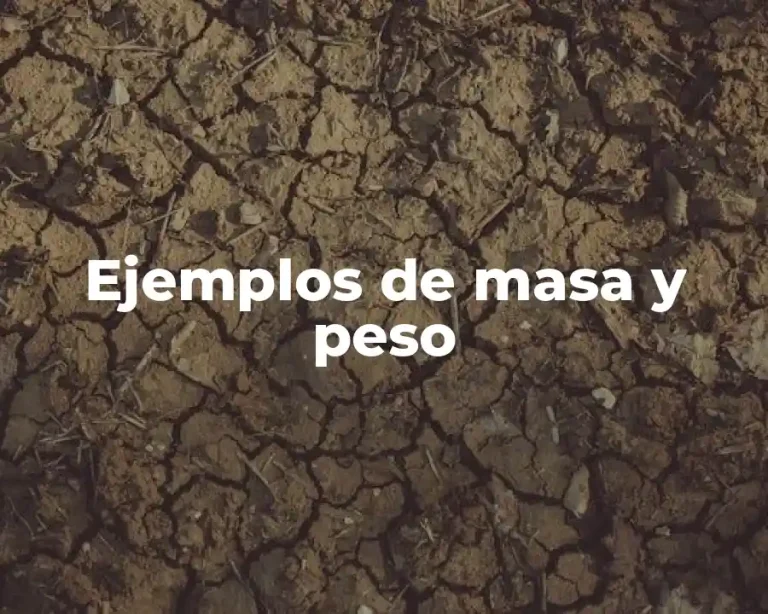 Ejemplos de masa y peso