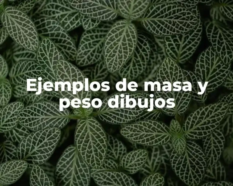 Ejemplos de masa y peso dibujos