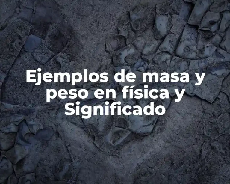 Ejemplos de masa y peso en física y Significado