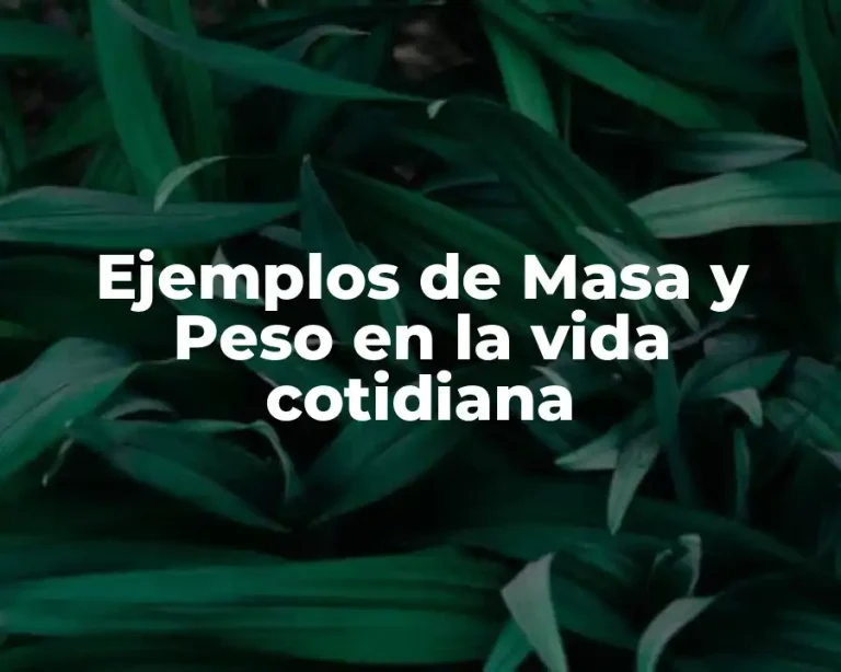 Ejemplos de Masa y Peso en la vida cotidiana