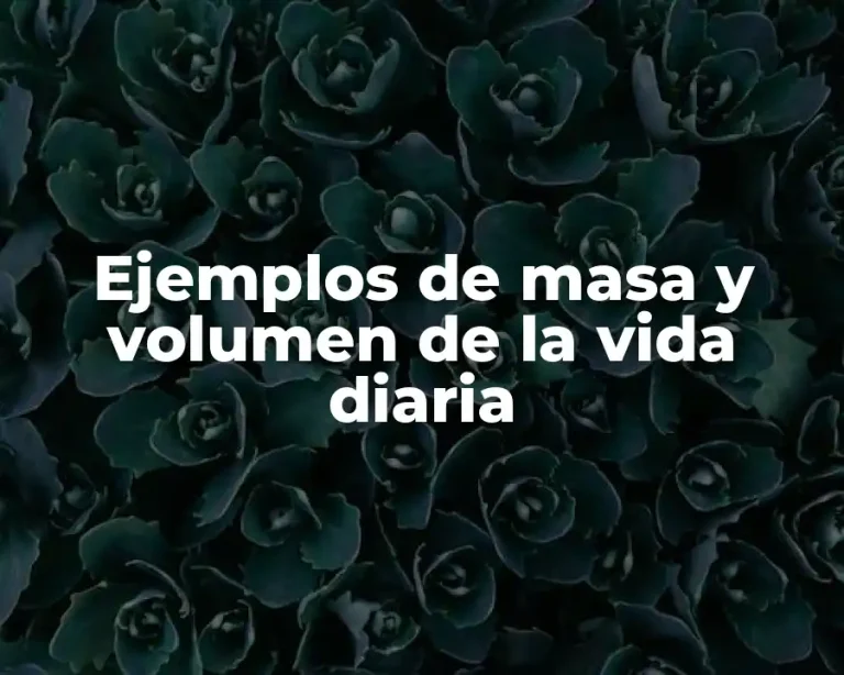 Ejemplos de masa y volumen de la vida diaria