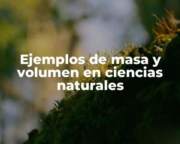 Ejemplos de masa y volumen en ciencias naturales