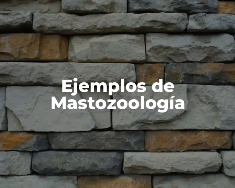 Ejemplos de Mastozoología