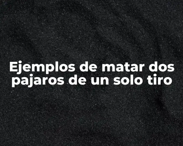 Ejemplos de matar dos pajaros de un solo tiro