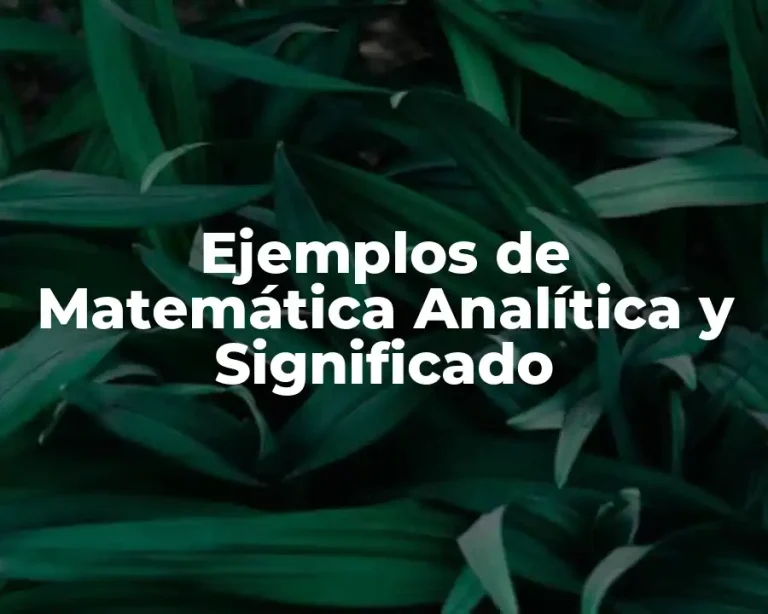 Ejemplos de Matemática Analítica y Significado