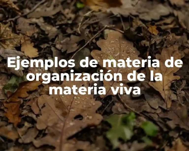 Ejemplos de materia de organización de la materia viva