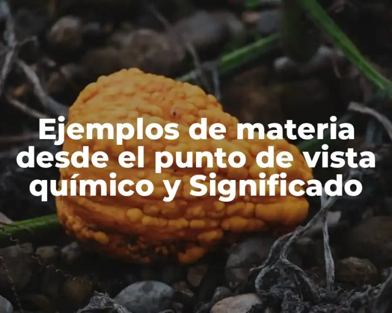 Ejemplos de materia desde el punto de vista químico y Significado