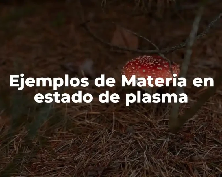 Ejemplos de Materia en estado de plasma