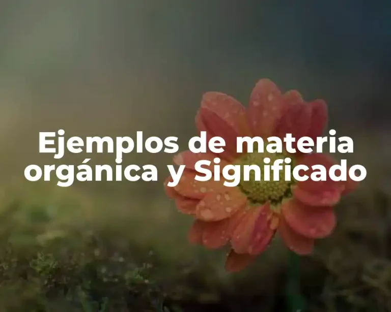 Ejemplos de materia orgánica y Significado