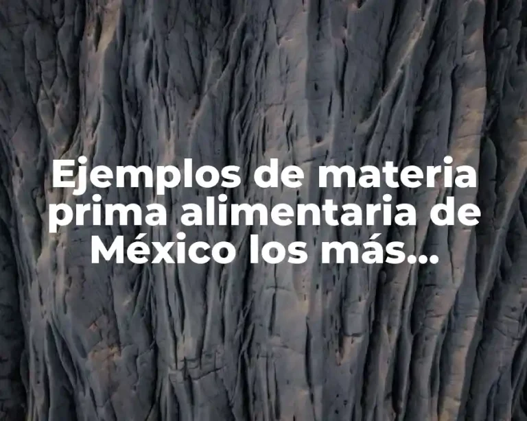 Ejemplos de materia prima alimentaria de México los más importantes