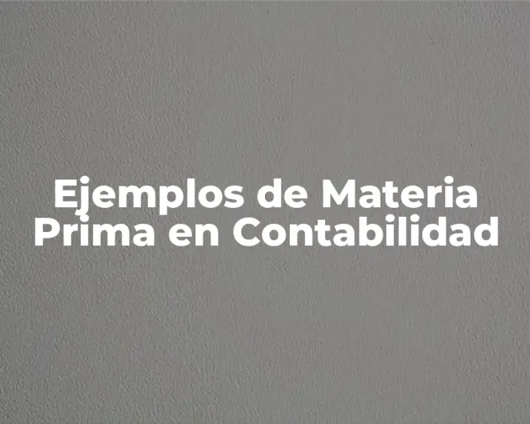 Ejemplos de Materia Prima en Contabilidad