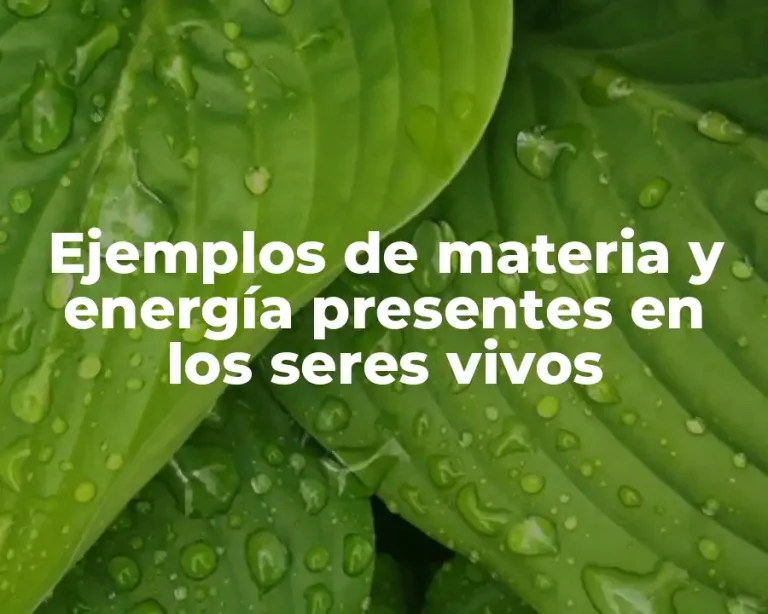 Ejemplos de materia y energía presentes en los seres vivos